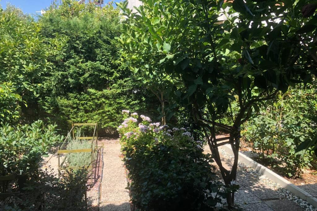 Ανακαινισμενη Μονοκατοικια 125 Τμ Στο Κεντρο Με Κηπο Villa Mesolóngion Eksteriør billede